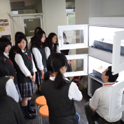 農業展開(水耕栽培の指導)