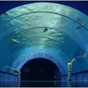 水族館水槽用大型アクリルパネル