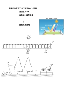特許第7830776号 拡散光＋ペロブスカイト