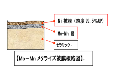 Mo-Mnメタライズ概略