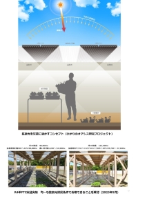 拡散光農業の概念図と実証実験